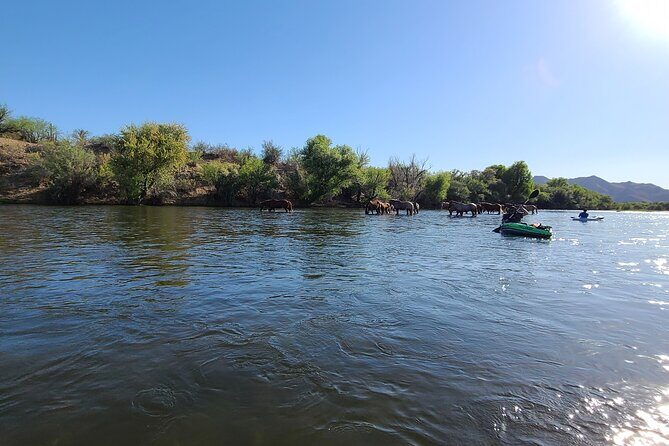 Rent a Paddle Board And Float the Lower Salt River - Who is This Tour Best For?