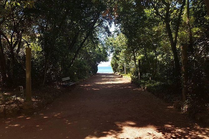 Rent a speed boat and explore beaches and coves of Elaphiti Islands - Who Is This Tour Best For?