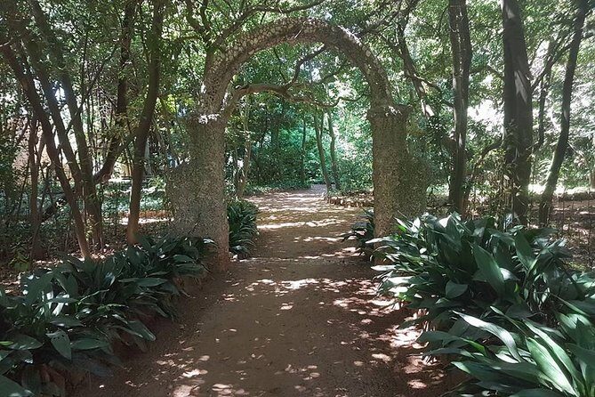 Rent a speed boat and explore beaches and coves of Elaphiti Islands - The Sum Up