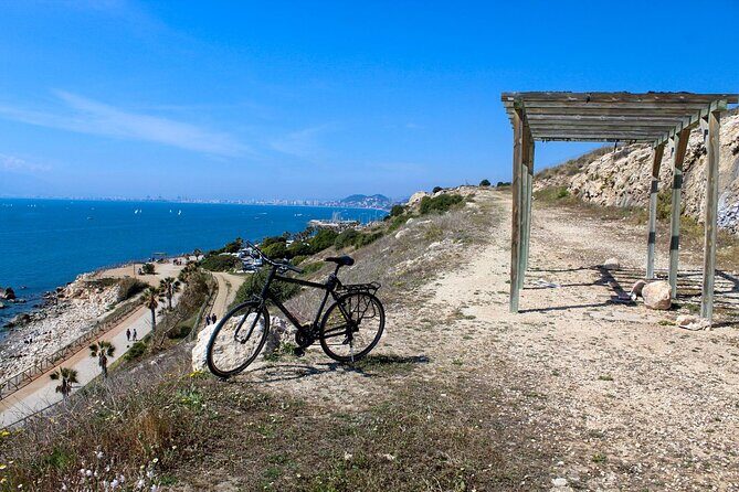Rent a Trekking bike: Full Day 24 hours - The Value of the Experience