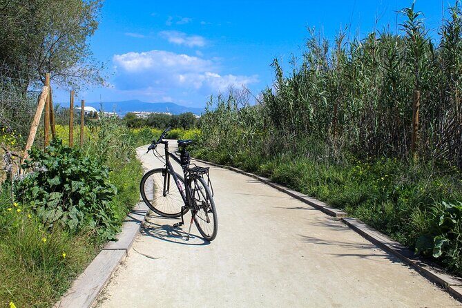 Rent a Trekking bike: Full Day 24 hours - FAQ