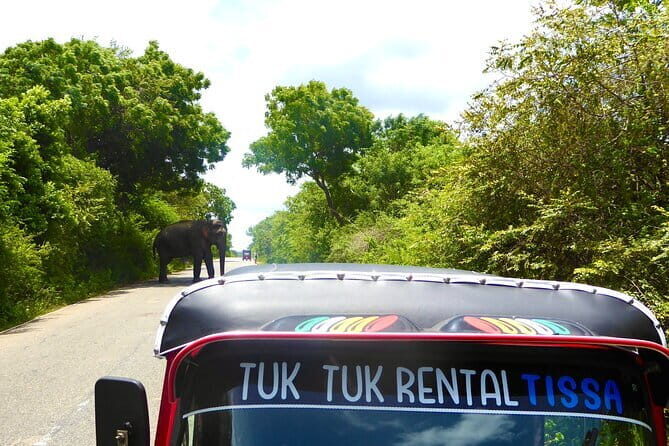 Rent a Tuk Tuk & Explore - What to Expect from a Tuk Tuk Rental in Sri Lanka