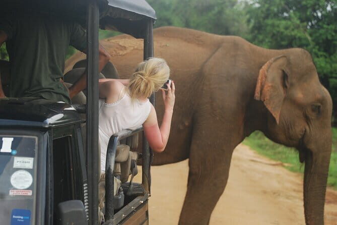 Rent a Tuk Tuk & Explore - The Sum Up
