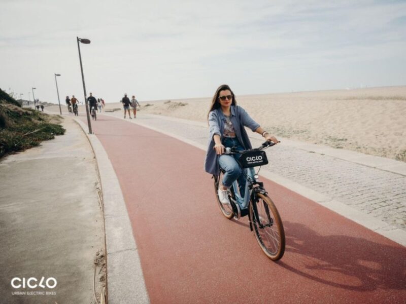 Rent an Electric Bike with Bosch motor - Key Points