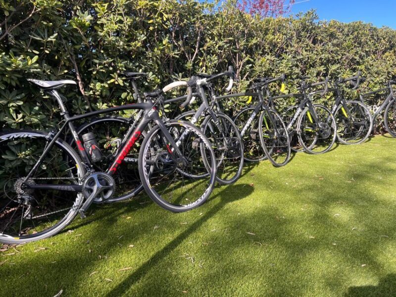 Rent Bike in Nicolosi. - Pricing and Value