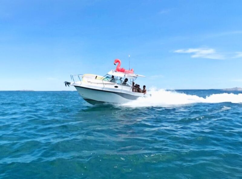 Rent Boat Valencia Yatch Polonova with capitan and drinks - Frequently Asked Questions