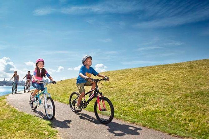 Rent City Bike 18 gears from 9 hours to 7 days: Visit Maspalomas - The Experience from a Traveler’s Perspective