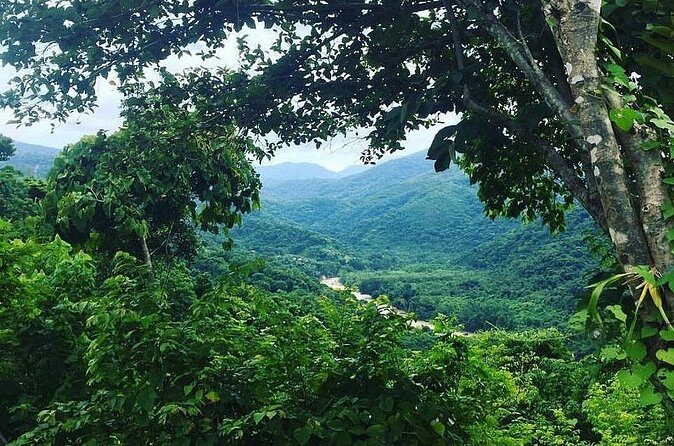 Rent DE mountain bikes - What to Expect During the Day