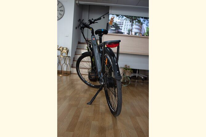 rent E-Bikes for a Day - Who Should Book This Experience?