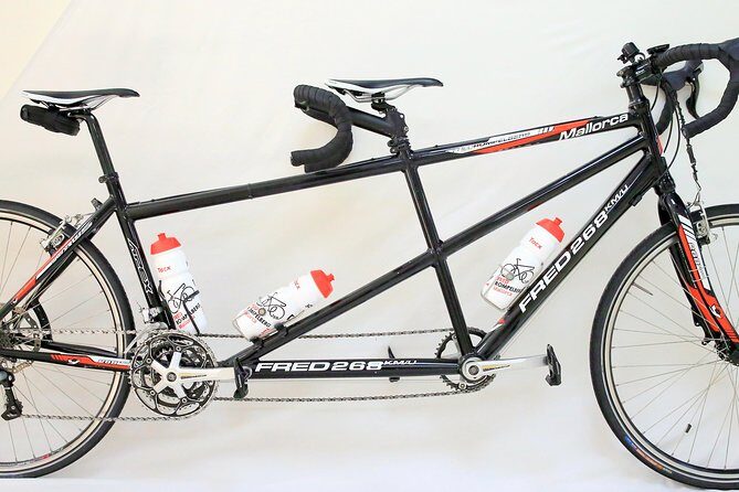 Rental bicycles - The Realities of the Experience