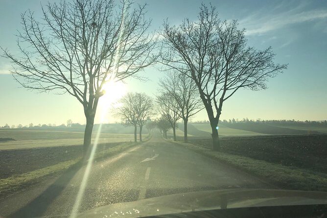 Rental car with driver in Strasbourg - availability 7 hours - Why Choose a Private Driver in Strasbourg?