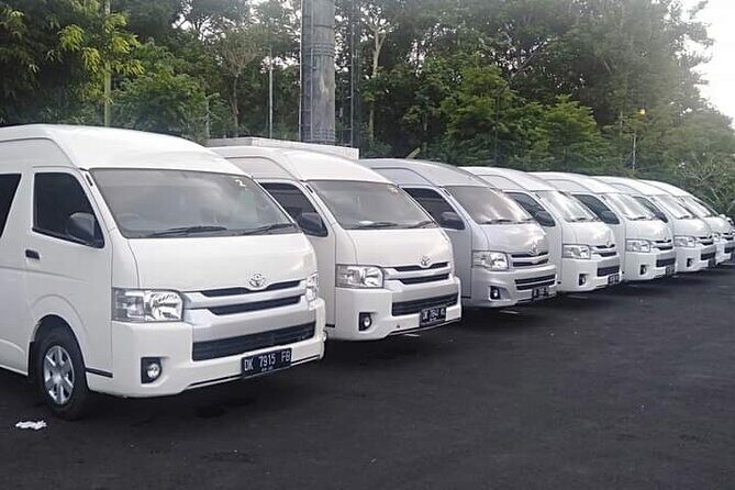 Rental Microbus 15,17,18,19 Seat With Driver And Petrol In Bali - Who Is This Tour Best For?