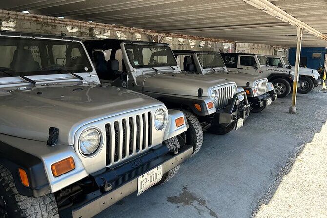 Rental Sedan 4 Doors Automatic 24h Experience in Cozumel - Authentic Experiences and Traveler Insights