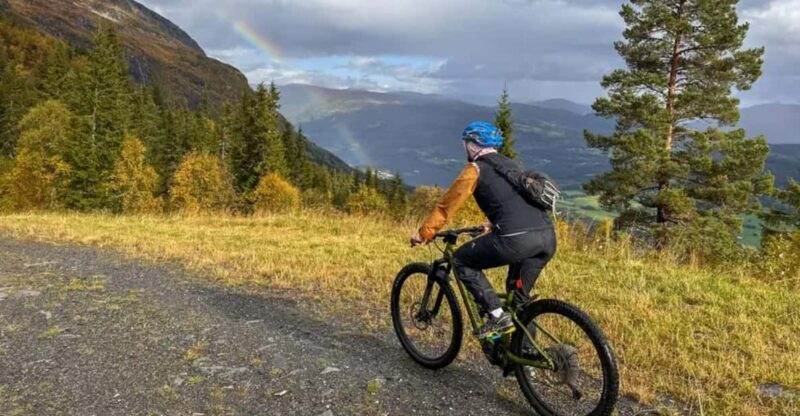 Rentals | E-Mountain Bike - Full Suspension - Key Points