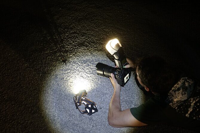 Reptile and Amphibian Night Adventure in Yucatán Jungle - FAQ