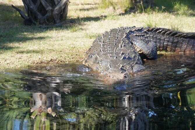 Reptile Eco Tour in Oaxacas Coastal Communities - Key Points
