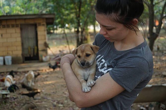 Rescue P.A.W.S. Day Visit - Final Thoughts