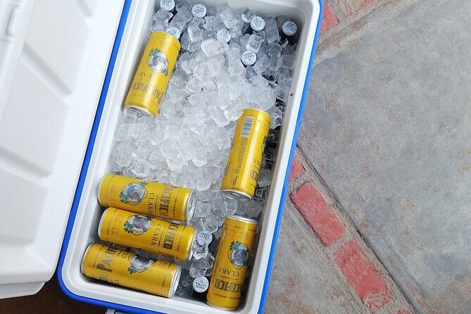 Reserve Cabo Shuttle - SJD Airport - What the Journey Looks Like