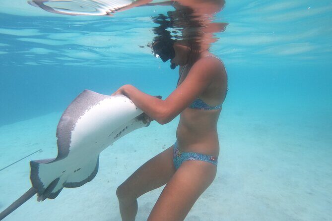 Respectful whale excursion to Tahiti in 4h30 - The Sum Up