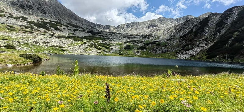 Retezat National Park: Full day hike from Cluj Napoca - Key Points