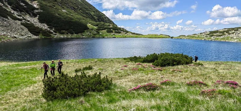 Retezat National Park: Full day hike from Cluj Napoca - The Hiking Experience: What to Expect