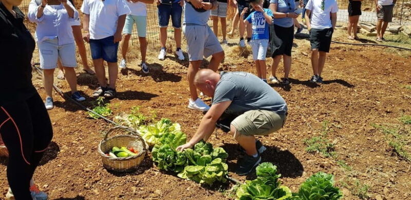 Rethymno Bal & Panormo:Cretan Experience TourSpecial Lunch - The Itinerary Breakdown: A Day in the Cretan Countryside