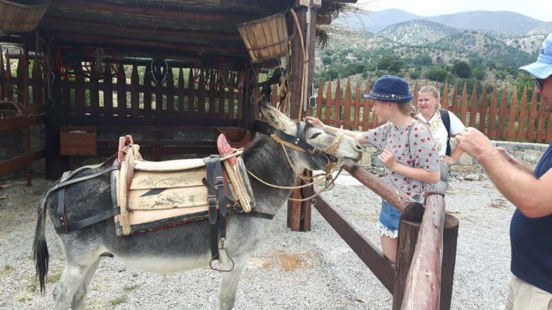 Rethymno Bal & Panormo:Cretan Experience TourSpecial Lunch - The Experience & Its Unique Value
