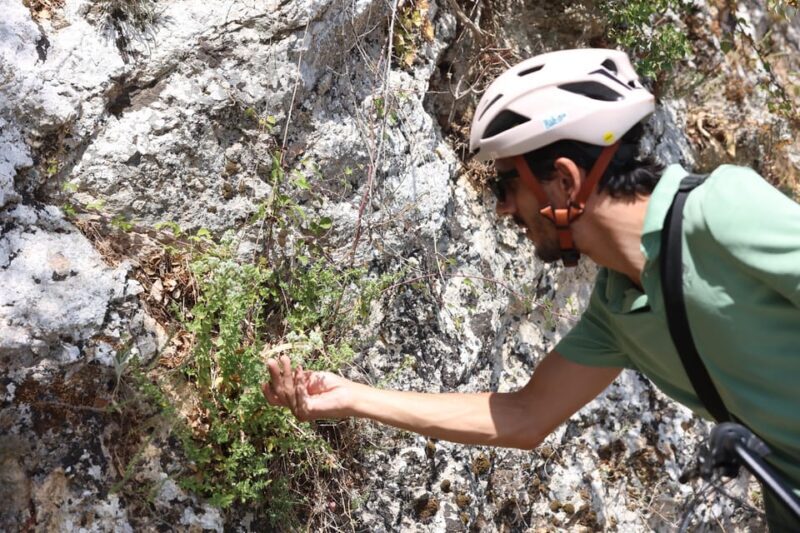 Rethymno: Guided e-Bike tour at Undiscovered Amari valley - FAQ