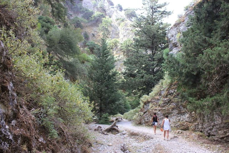 Rethymno: Imbros Gorge and Frangokastello Beach Hiking Tour - An In-Depth Look at the Tour Experience