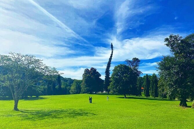 Return Airport Transfers & Kandy Day Tour From Colombo - Who Is This Tour Best For?