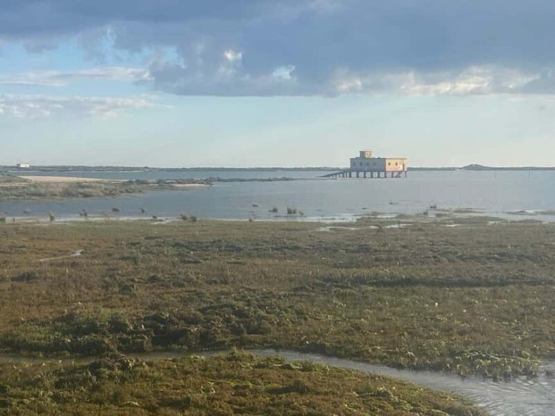 Return bike tour from Tavira to Olhão - Discover the Eastern Algarve on Two Wheels