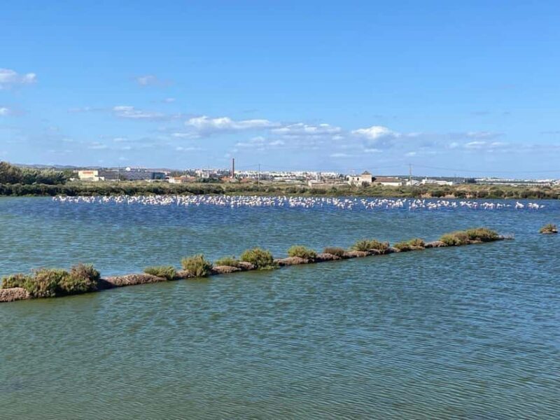 Return bike tour from Tavira to Olhão - The Sum Up