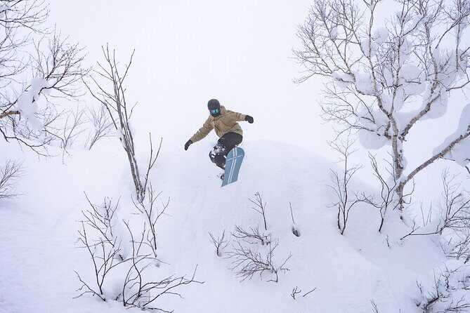 Revelstoke Mountain Photography Tours - An In-Depth Look at Revelstoke Mountain Photography Tours