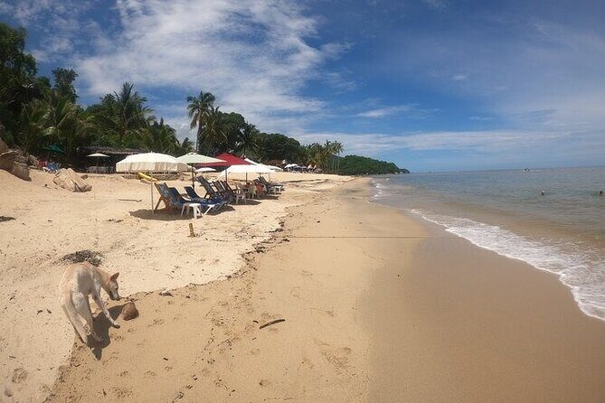 Rey Spearo - Enchanting And Romantic Custom Created Tours - The Sum Up: Who Will Love This Tour?