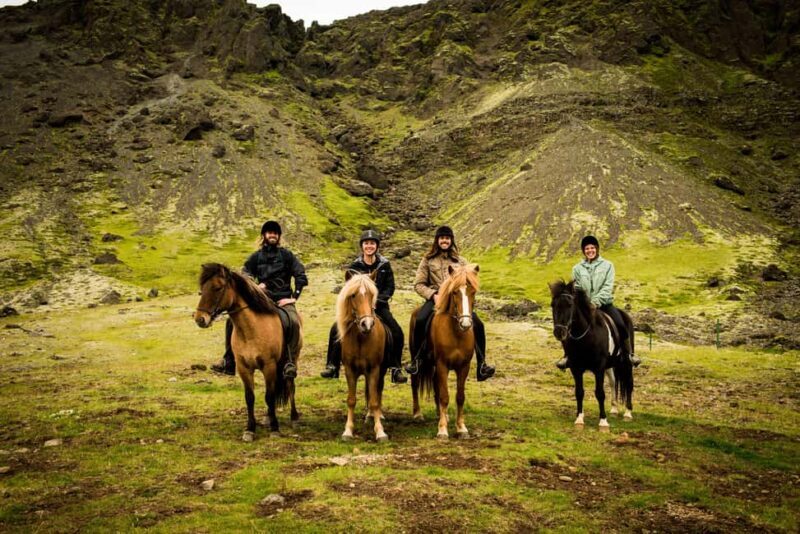 Reykjadalur: Horseback Riding Tour for Families & Beginners - Key Points