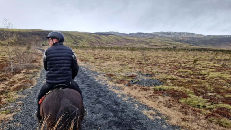 Reykjadalur: Horseback Riding Tour for Families & Beginners - Discover the Magic of Reykjadalur on Horseback