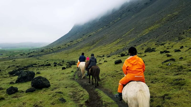 Reykjadalur: Horseback Riding Tour for Families & Beginners - Who Will Love This Tour?