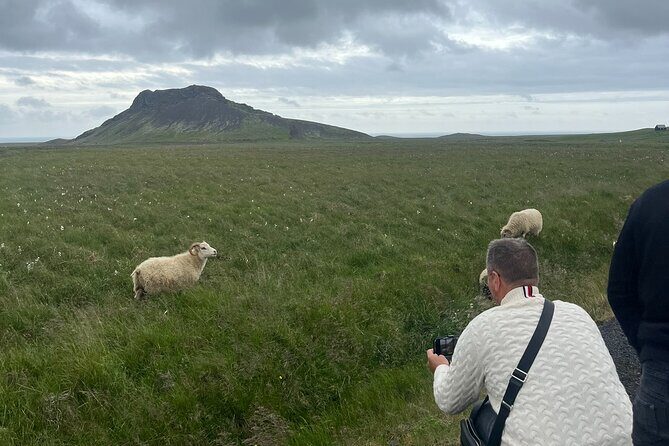 Reykjanes Peninsula Private Tour - Key Points