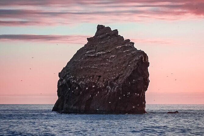 Reykjanes Peninsula Private tour Iceland - FAQs about the Reykjanes Peninsula Private Tour