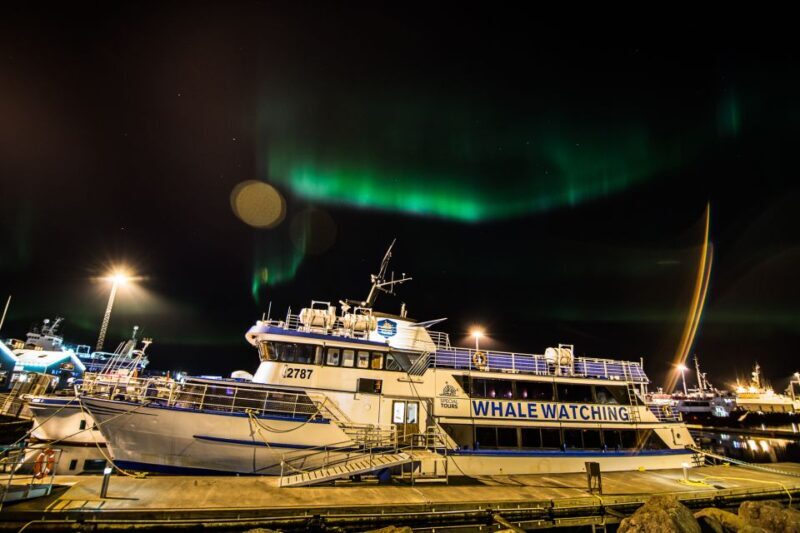 Reykjavik: 2-Hour Northern Lights by Boat with Backup Plan - The Authenticity and Value