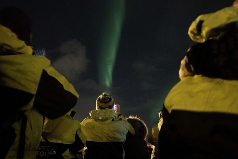Reykjavik: 2-Hour Northern Lights by Boat with Backup Plan - Who This Tour Is Best For
