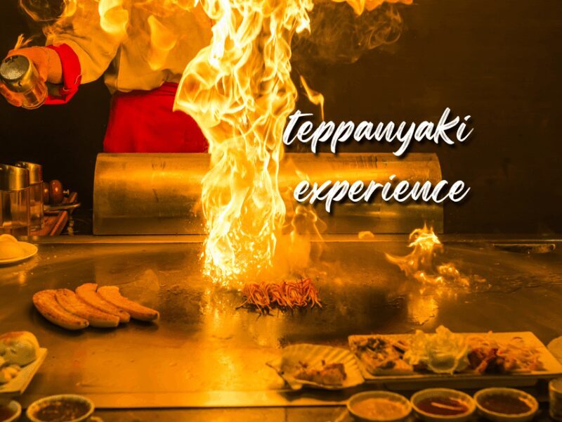 Reykjavík: 7-Course Teppanyaki Tasting Menu with Fire Show - Who Will Love This Experience?