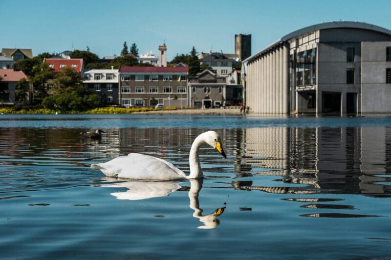 Reykjavík & Blue Lagoon Private Tour - Transportation & Comfort
