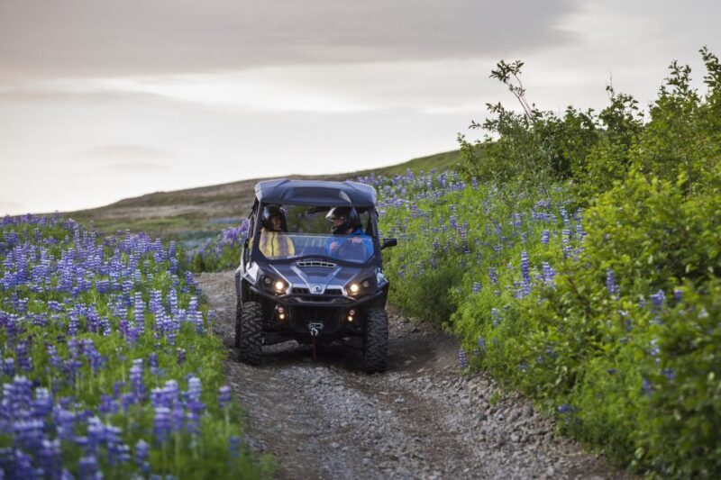 Reykjavik: Buggy Safari Tour with Hotel Transfers - Tour Duration and Flexibility