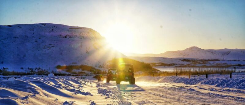 Reykjavik: Buggy Safari Tour with Hotel Transfers - Pricing and Value