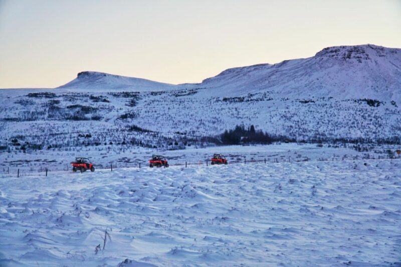 Reykjavik: Buggy Safari Tour with Hotel Transfers - Additional Options and Considerations