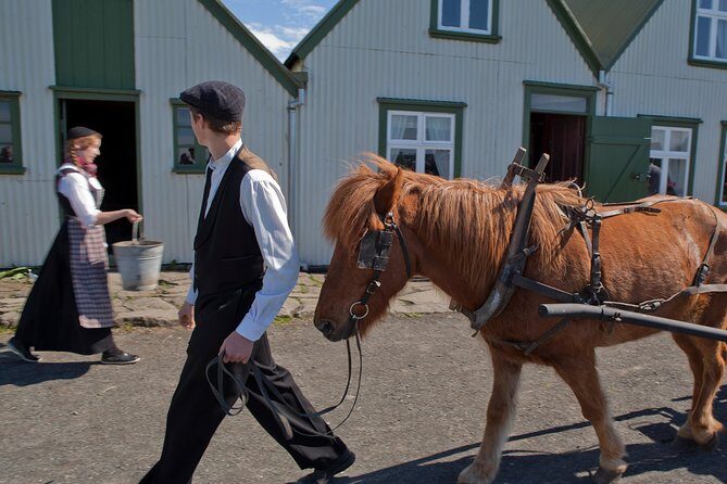 Reykjavik City Card 24-hour - Practical Tips for Making the Most of Your Day