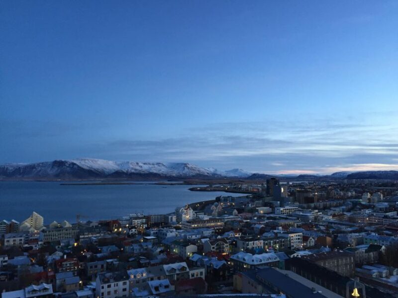 Reykjavik City - Half Day Private Tour - Exploring Reykjavik in Style: A Deep Dive into the Half-Day Private Tour