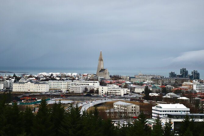 Reykjavik City Private Tour - Authentic Experiences from Reviewers