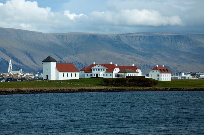 Reykjavik City Private Tour - Who Will Enjoy This Tour?